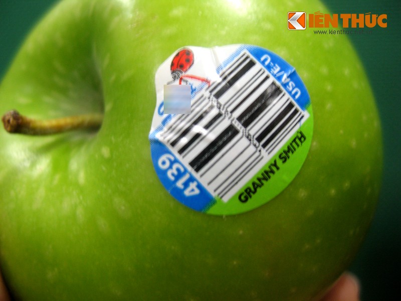 Tao Gala, Granny Smith len gio qua Tet Ha Noi-Hinh-5